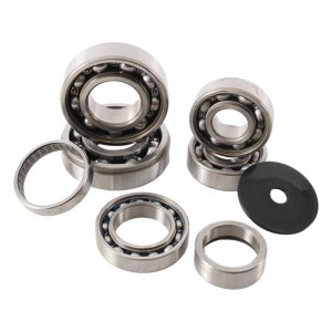 Honda CCR 250 R Transmission Bearing Kit - Hot Rods - `92-`01